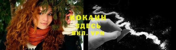 крисы Покровск