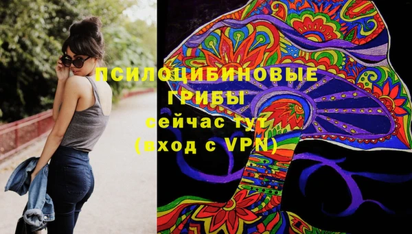 крисы Покровск